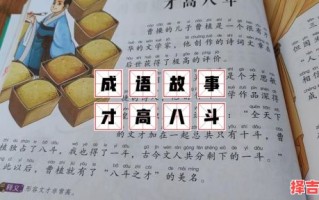 八斗高才猜一生肖