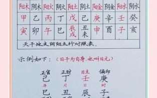 天干五行所属干支五行属性