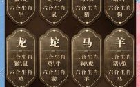二七合三与一六是指什么生肖