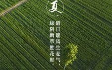 立夏的夏指什么