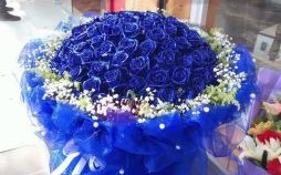 22朵玫瑰花寓意 22朵蓝色妖姬花语