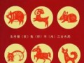 十二生肖二零二五年运势详解 十二生肖二零二五年每月运势完整版