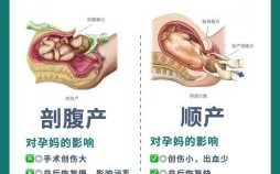 2025年10月2日适合剖腹产吗2025年10月2日适合生孩子吗