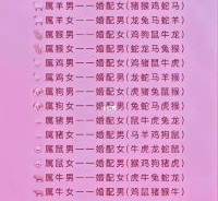 属相牛最佳婚配属相解析，牛与哪些生肖最合拍