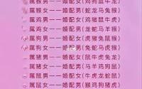 属相牛最佳婚配属相解析，牛与哪些生肖最合拍