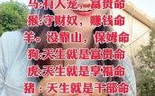无耻卑鄙指什么生肖 无耻卑鄙打一准确生肖