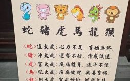 属马2025年开业吉日查询 属马2025年旺运色彩