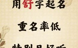 舒姓女孩名字大气的名字两个字 舒姓女孩名字大气的名字