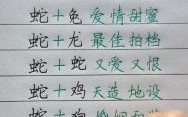 蛇与哪些属相最配？生肖蛇的最佳婚配属相解析