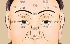 面相有哪些说法存在面相学一说吗