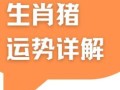属猪2025年开业最佳吉日查询 属猪2025年注册公司选名指南