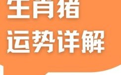 属猪2025年开业最佳吉日查询 属猪2025年注册公司选名指南