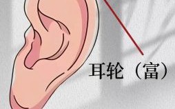 耳朵长痣图解面相