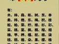 带木字旁的女孩字起名有哪些 带木字旁的女孩字起名