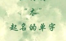 五行属木男孩名字最佳的字有哪些 五行属木和金的女孩名字
