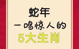 出风头的生肖是什么？出风头打一数字