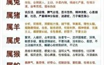 88年属龙车牌吉利数字和属猪车牌吉利数字