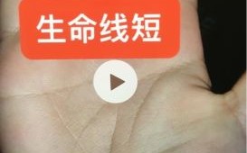 生命线短的人真的早逝吗