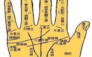 女左手手相比右手佳，女手相卅五后观左手