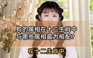属狗和哪些属相相克，生肖狗和哪些属相最配