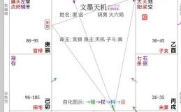 2025年10月12日出生女命紫微斗数命盘 二零二五年八月 小廿一紫薇命盘八字测算