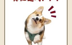 会咬人的狗不叫是什么生肖？狗咬狗指什么生肖