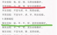 猴年出生的人与哪些属相最配？生肖猴最佳婚配属相解析