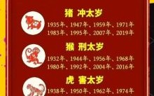 属猪2025年最利签约黄历吉日 属猪2025年全年运势解析
