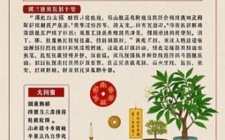 2022年虎年不宜生子的生肖 2022年属虎犯太岁的5个生肖