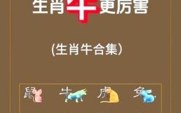 属牛农历二月十九出生是什么命 属牛2月出生属什么命