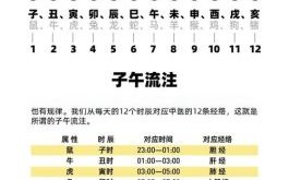 周易六爻八卦断卦方法六爻如何起卦