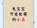 女孩取名字2026属兔好吗 女孩取名字2026属兔