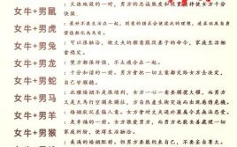 属牛人的理想伴侣 97年属牛人最佳婚配指南