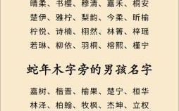 五行属木的字女孩子 五行属木字女孩子取名