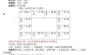 2025年10月16日男命紫微斗数命格解析 二零二五年八月二十五紫薇命盘八字测算