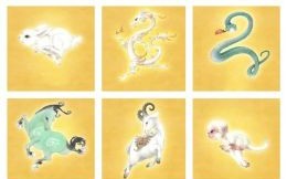 风风火火闯九州是什么生肖？十二生肖风风火火的动物