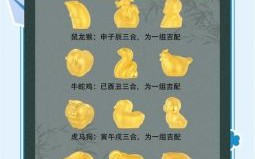 三户人家西南方向是什么生肖？西南方向代表什么生肖