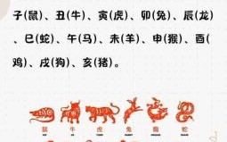 懒惰生肖是什么？最懒惰的生肖出过什么肖