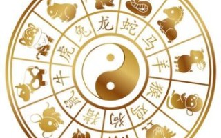 上得入地的是什么生肖？上天下海是哪几个生肖