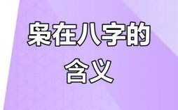 八字大运中的枭是什么意思 十年大运遇枭神是什么意思