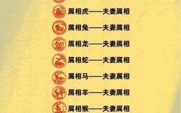 属鼠的与哪个属相最不合和属马的与什么属相最不合