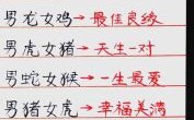 牛年出生的人和什么属相最配？生肖配对最佳组合解析