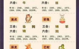 买马生肖是什么？买十二生肖买马结果