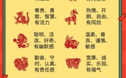 恬不知耻的生肖对应哪个生肖