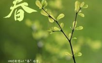 几点立春2022年2月4日几点立春