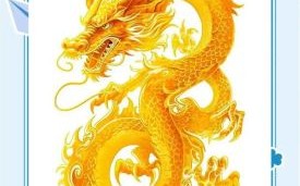 1988年属龙人本月运势1988属龙人劫数