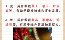 会计小算四毒害是什么生肖？四毒害是什么生肖