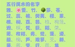 缺金和木的女孩子名字 八字缺木和金的女孩名字