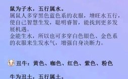 春光灿烂指什么生肖