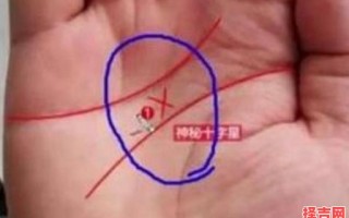 杰出企业家的手相特征解析